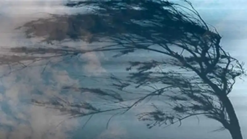 В нескольких областях Казахстана объявлено штормовое предупреждение