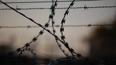 Pixabay, фото - Новости Zakon.kz от 24.07.2020 06:37