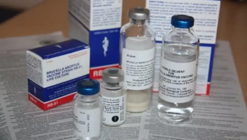 В Жамбылской области будут производить ветеринарные препараты