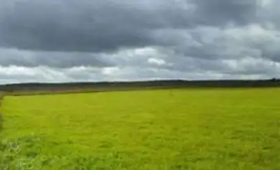 Zakon.kz, фото - Новости Zakon.kz от 13.11.2013 21:12