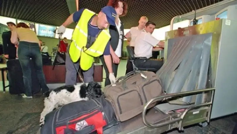 Daily Mirror: в отелях Шарм-эль-Шейха хлам, а не система безопасности