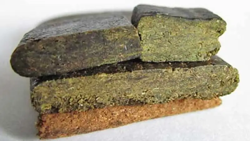 Транспортные полицейские задержали россиянина, везшего из г. Шу на родину гашиш