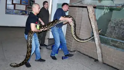 Zakon.kz, фото - Новости Zakon.kz от 31.03.2015 19:21