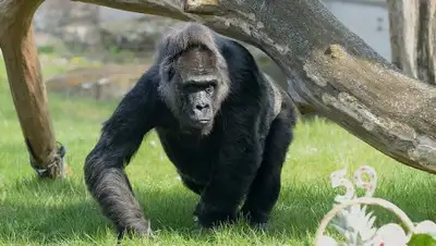 Zakon.kz, фото - Новости Zakon.kz от 30.05.2016 07:31