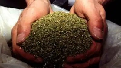 Zakon.kz, фото - Новости Zakon.kz от 07.09.2016 05:36