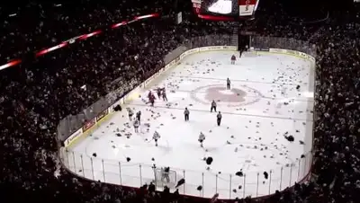 Кадр из видео, фото - Новости Zakon.kz от 13.12.2017 11:09