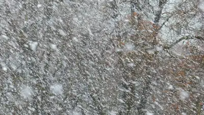 Pixabay, фото - Новости Zakon.kz от 08.03.2020 14:38