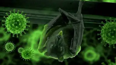 pixabay, фото - Новости Zakon.kz от 24.05.2021 08:14