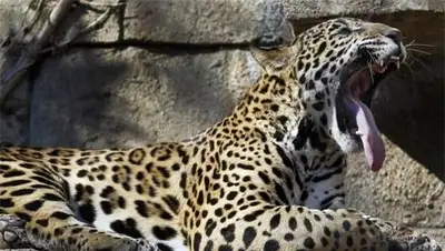 Zakon.kz, фото - Новости Zakon.kz от 07.11.2014 20:20