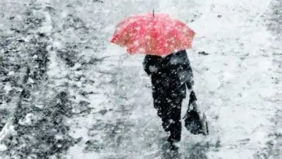 Zakon.kz, фото - Новости Zakon.kz от 07.10.2014 15:06