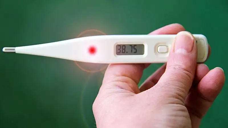 В 74 субъектах России выявили свиной грипп