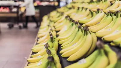 Pixabay, фото - Новости Zakon.kz от 25.01.2020 16:36