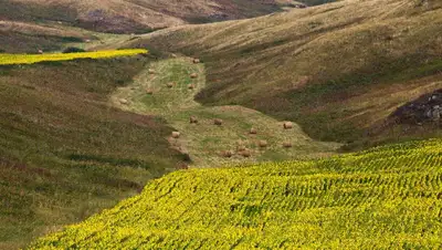 отмена ограничений, фото - Новости Zakon.kz от 17.01.2022 12:29