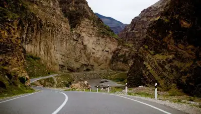 Seldon.News, фото - Новости Zakon.kz от 24.08.2020 06:36