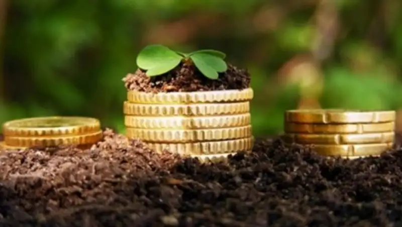 В Казахстане готовят к открытию птицефабрики, молочные фермы и теплицы