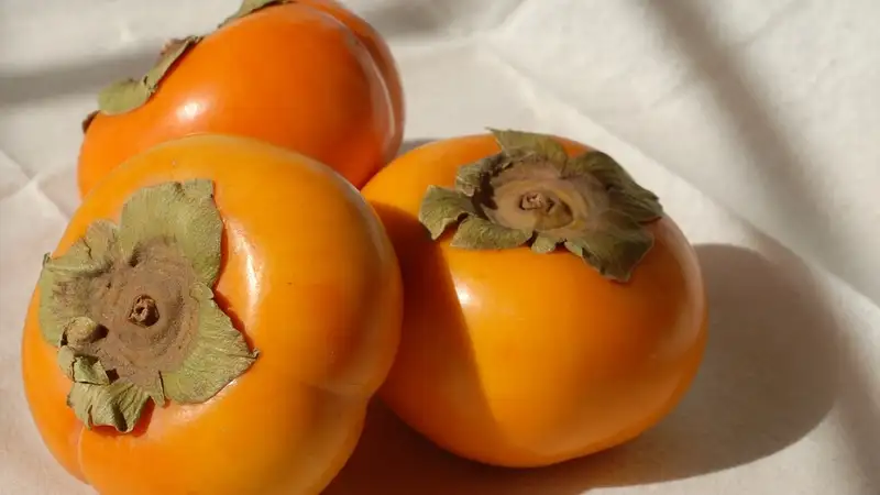 Почему хурма вяжет и как сделать ее невяжущей