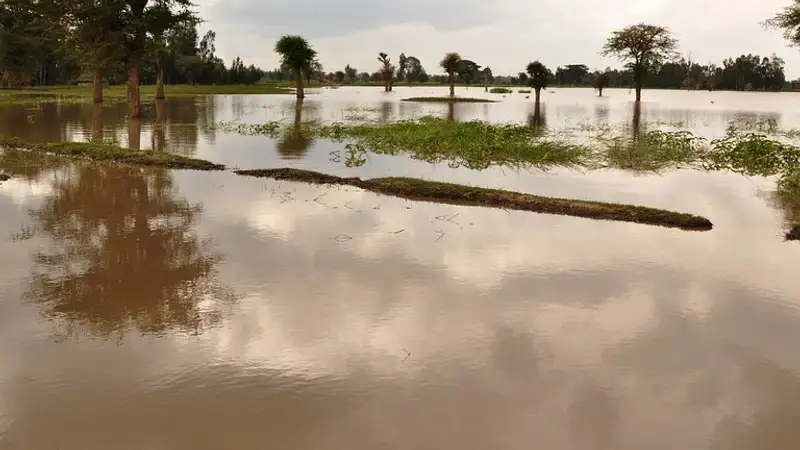 Семь человек погибли и трое пропали без вести в Австралии в результате урагана