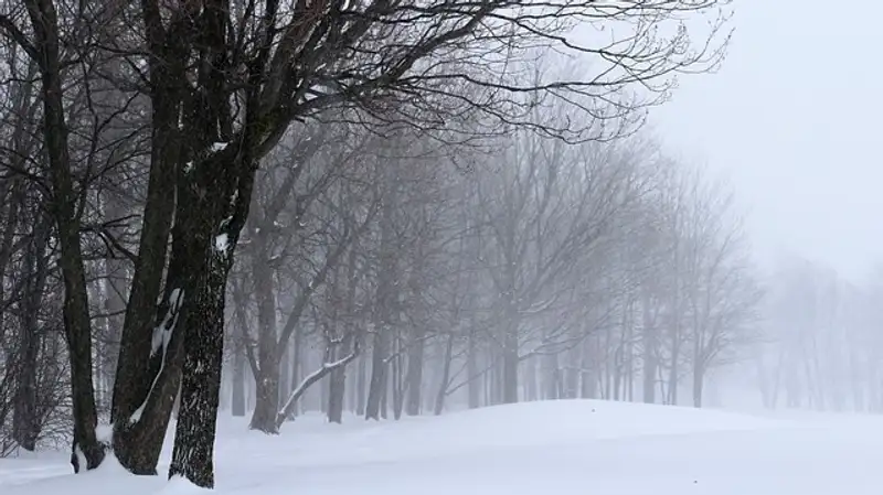 В восьми областях Казахстана закрыли трассы из-за непогоды