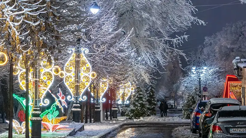 Алматинцы поделились кадрами снегопада в городе