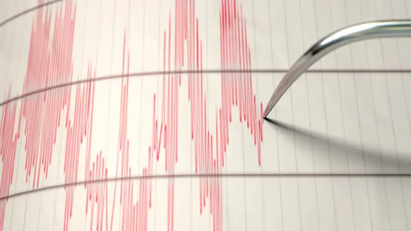 В Японии растет число жертв землетрясения