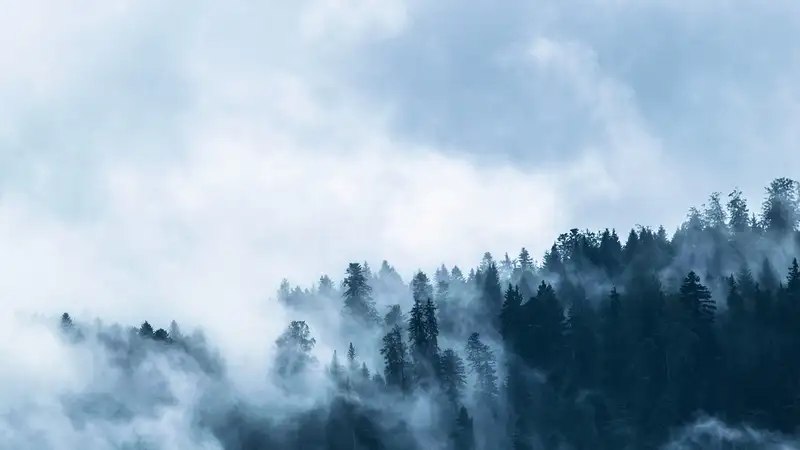 Неблагоприятные метеоусловия прогнозируют в Алматы и в Шымкенте