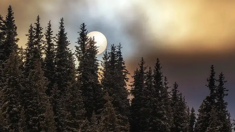 Сумерки по-казахстански: фотограф поймал восход солнца в горах Алматы