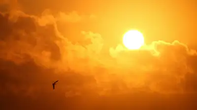 , фото - Новости Zakon.kz от 08.01.2024 17:50