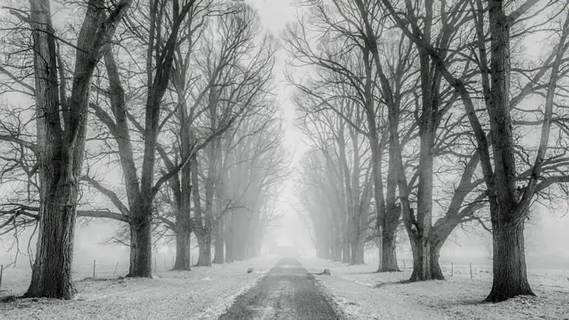 В двух областях Казахстана закрыты дороги республиканского значения