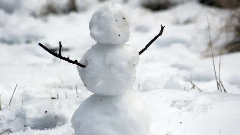 "Разбил снеговика": в Казнете обсуждают видео с полицейским 