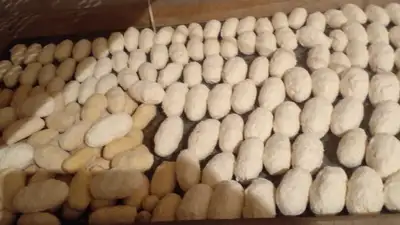 , фото - Новости Zakon.kz от 06.01.2024 15:17