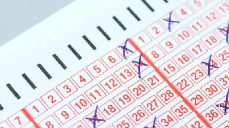 В США женщина чуть не выбросила выигрышный лотерейный билет на $925,4 тыс.