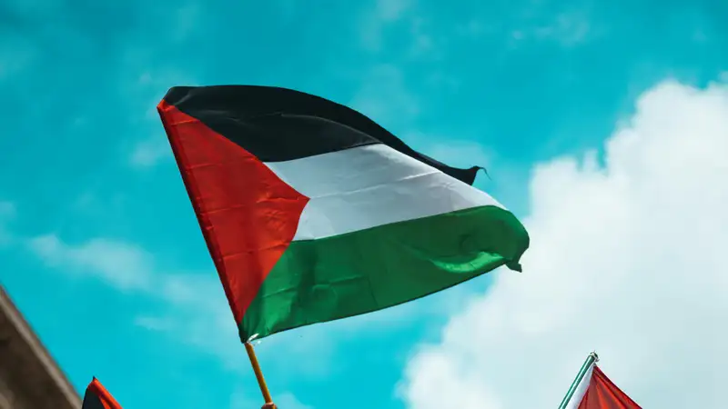 Властей одного из района Лондона обвинили в преступлениях из-за флагов Палестины