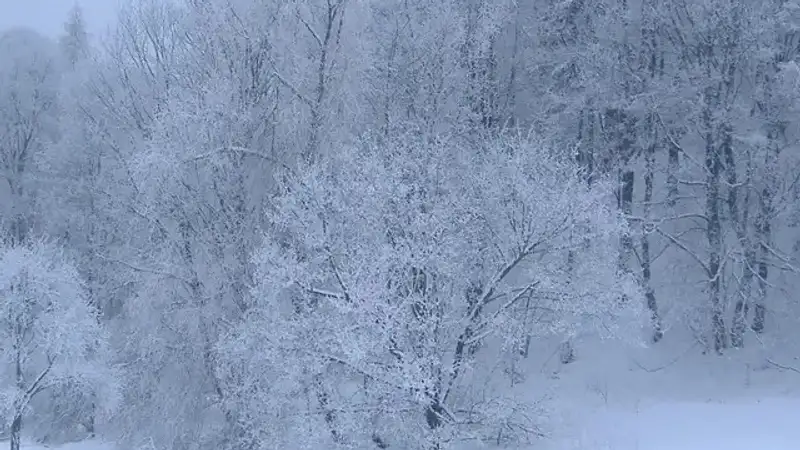 Какие дороги закрыты в Казахстане