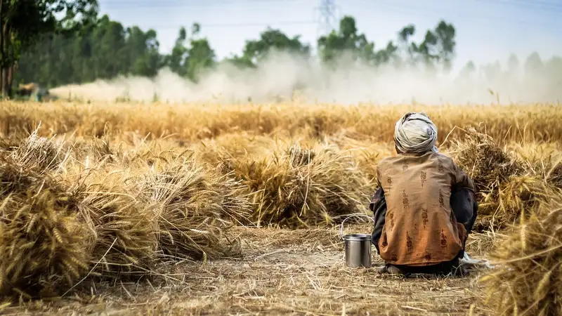 Критически жаркое лето: могут ли пострадать аграрии Казахстана ответили эксперты