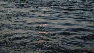 Rixos Aktau подтвердил слив сточных очищенных вод из отеля в озеро Караколь , фото - Новости Zakon.kz от 11.01.2024 14:44