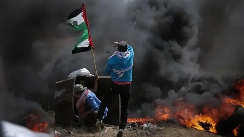 число жертв в Газе