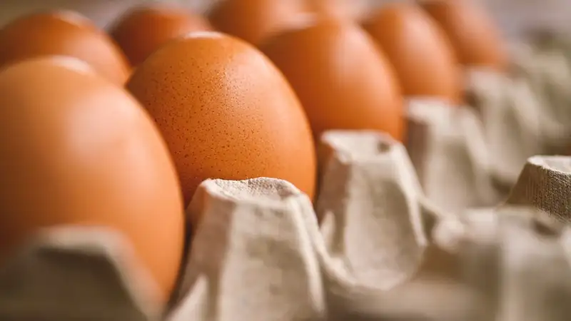 Россия попросила Казахстан помочь ей с яйцами