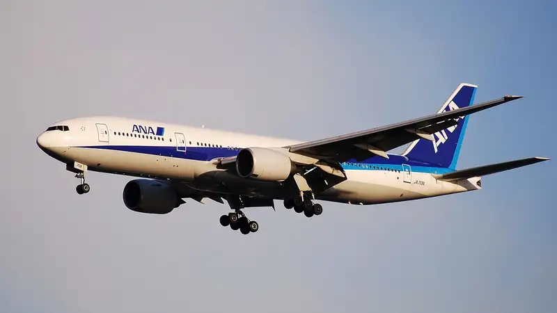 Пассажир самолета в Японии покусал стюардессу