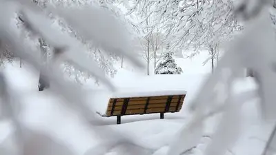 город засыплет снегом, фото - Новости Zakon.kz от 19.01.2024 18:34