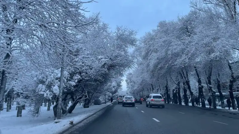 В Алматы сильный снег, в Астане -27 °C: прогноз погоды в мегаполисах Казахстана на выходные 
