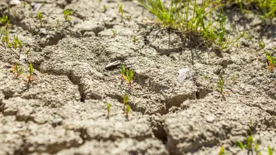 Грозит ли Казахстану дефицит воды