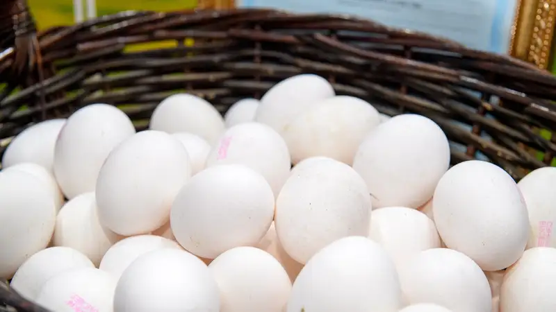 Цены на яйца в Казахстане