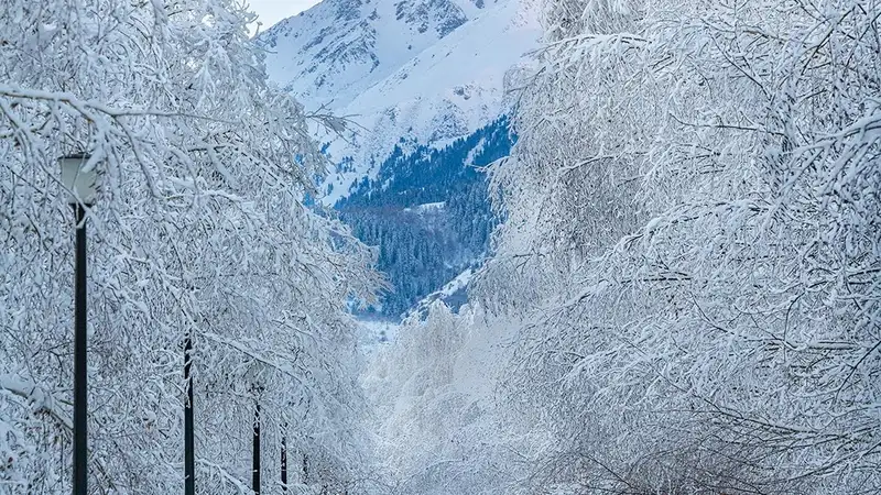 зима в Алматы