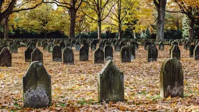 кладбище, фото - Новости Zakon.kz от 21.01.2024 17:02