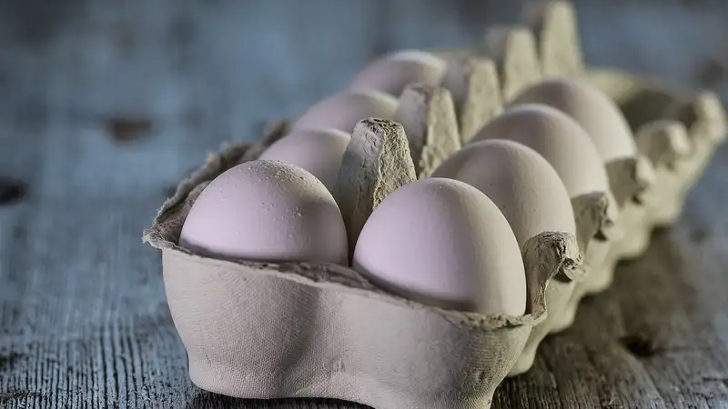 Многомиллионные штрафы получили крупные производители яиц в Казахстане 