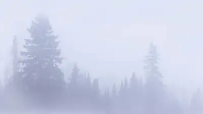 Туман, метель, гололед: прогноз погоды в Казахстане на 24 января , фото - Новости Zakon.kz от 23.01.2024 16:09
