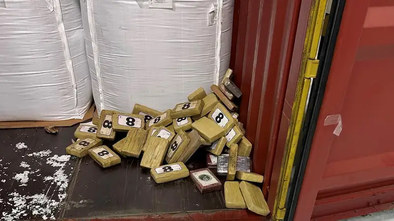 Кокаин на 13 млрд рублей конфисковали российские таможенники в Санкт-Петербурге