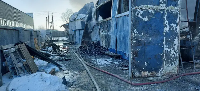 Пожар близ Алматы: ужасающие кадры с места событий