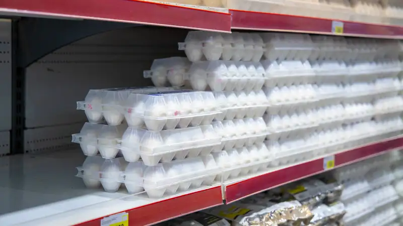 Казахстан Россия яйца экспорт птицеводы мнение