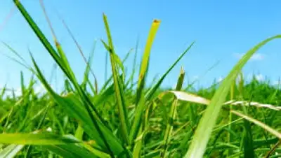 Zakon.kz, фото - Новости Zakon.kz от 22.06.2015 13:26